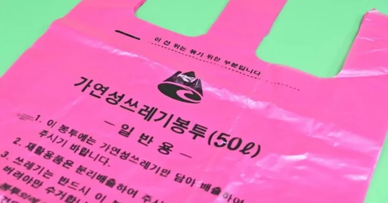 “봉투값 오른다?” 사재기 조짐에…청송군 “1년치 물량 확보” 진화 나서