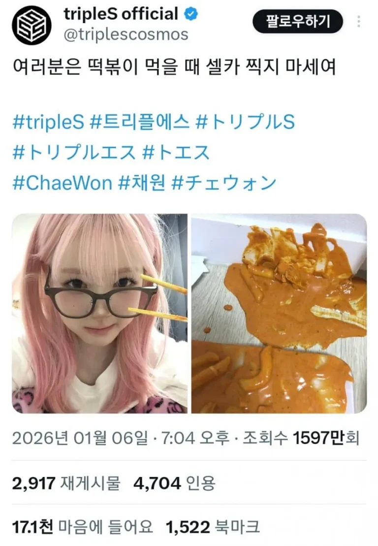 음식 떨구고 사진 찍는게 이해안되는 일본인들.jpg