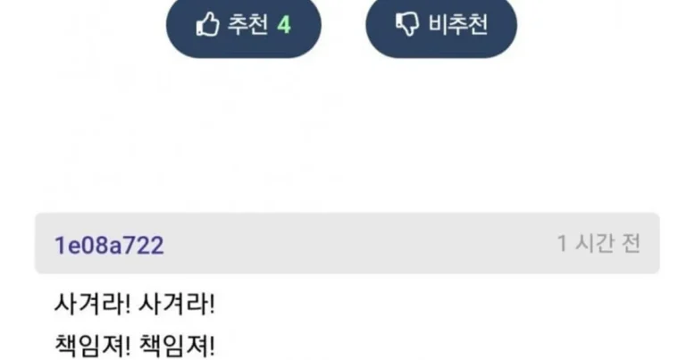 3년차 개발자 선배 가슴 만졌다…ㅈ됐다