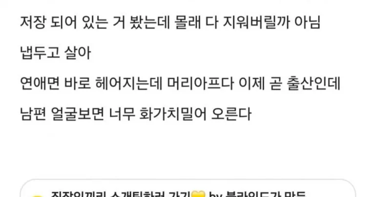 블라) 남편 전여친 동영상 발견한, 대한항공 와이프..jpg