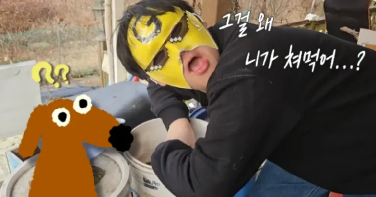 다양한 개밥 맛 리뷰