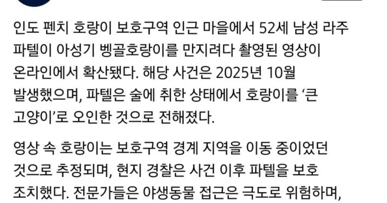 술마시고 ㄹㅇ 호랑이 쓰다듬은 남자 ㄷㄷㄷ;;,,