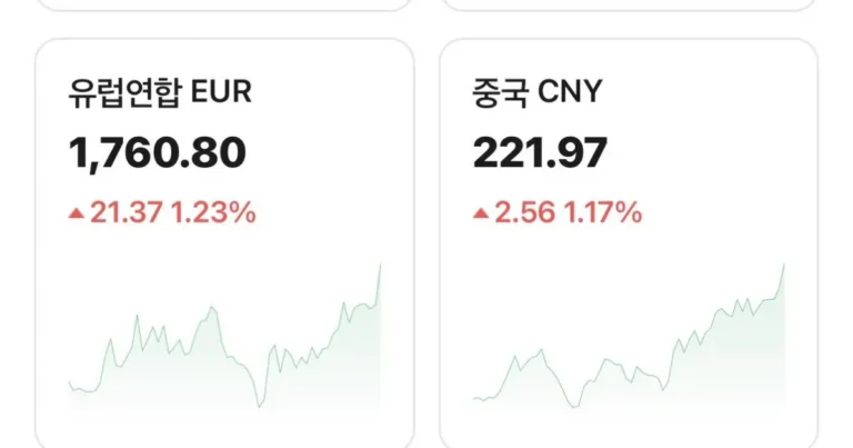 환율이 진짜 개 ㅈ된이유
