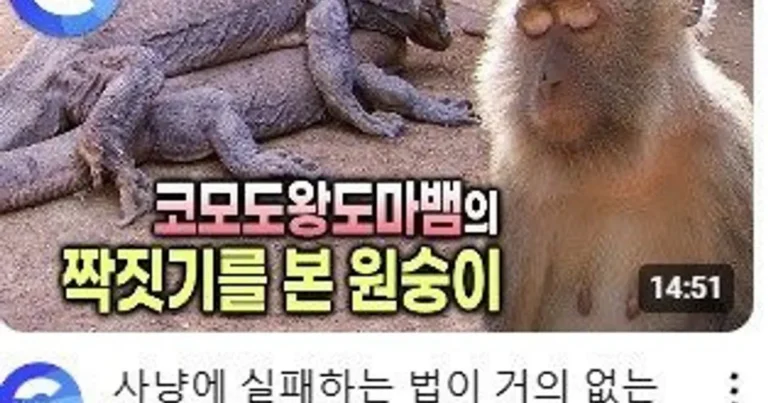 EBS 썸네일