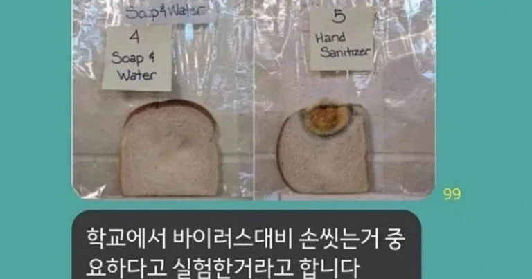 손 씻는 게 ㅈㄴ 중요한 이유