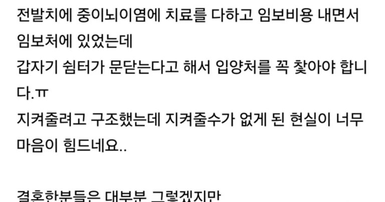 남편 몰래 카드 돌려막기하다 이혼위기의 캣맘