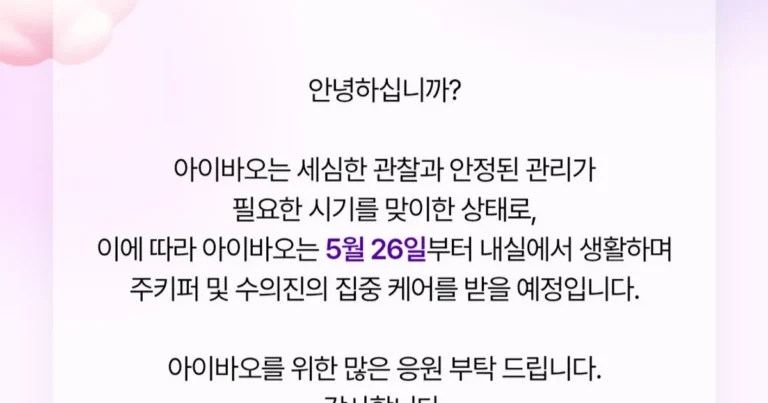 에버랜드 판다월드 아이바오 근황