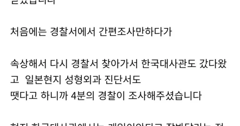 한국인 관광객이 일본에서 집단 폭행당한 사건 정리
