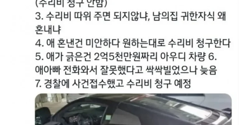 2억짜리 차 긁은 아이 봐줬더니