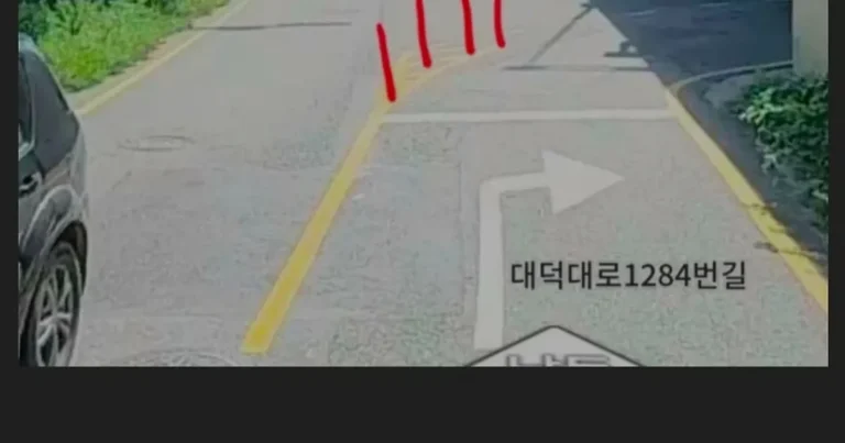 대전 고속도로 역주행 방지책