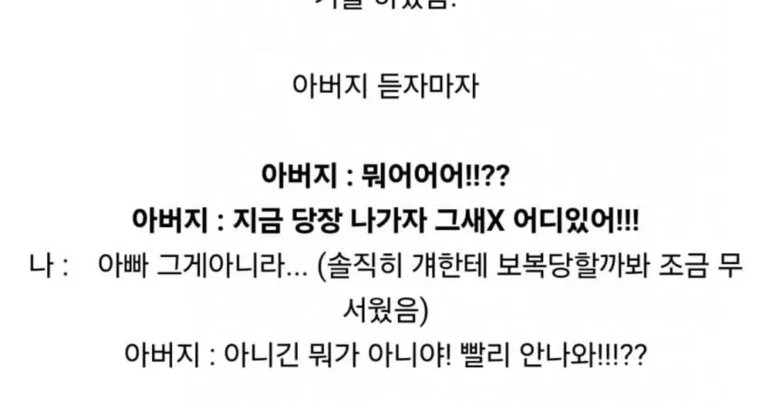 아빠가 일진 팬 썰