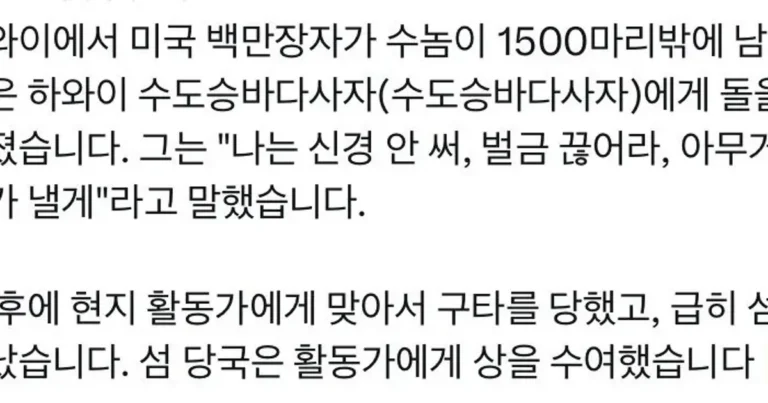 하와이 물범에게 돌을 던진 백만장자