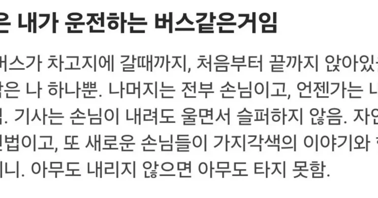 삶은 내가 운전하는 버스같은거임