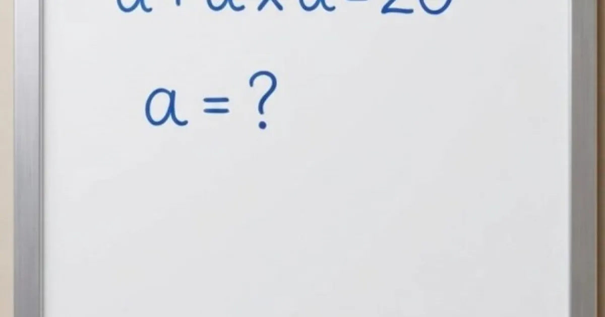 C77a9410f5e68461aab6379e9e95812c3e875bd0845878939c15819369e423dc