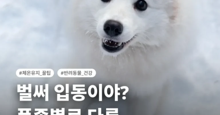❄️벌써 입동이야? 품종별로 다른 체온 유지 꿀팁!