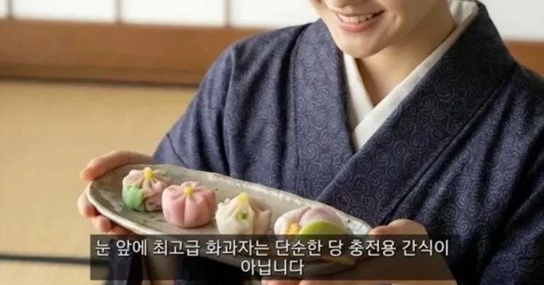 교토에서 화과자 먹을 때 지켜야하는 예절.jpg