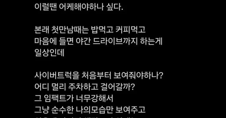 흔한 테슬라 오너의 걱정