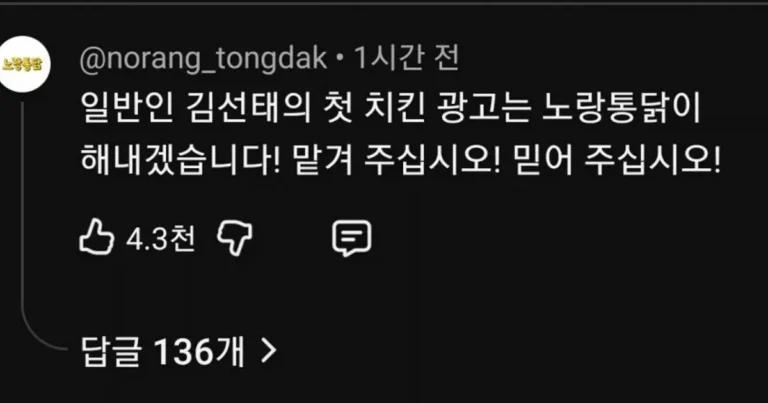 광고 문의가 계속 들어오는 김선태 유튜브 댓글