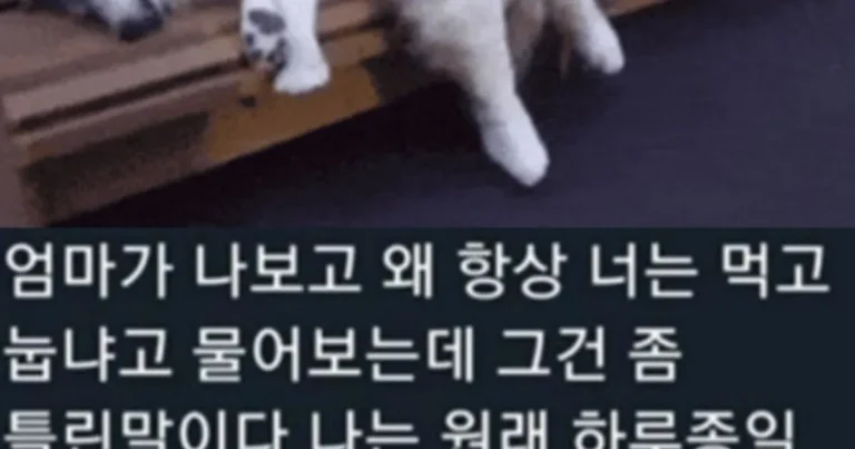 먹고 바로 눕는 사람들 특징