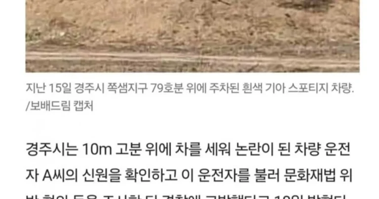 보배드림에 올라온 레전드 주차위반 ㄷㄷ