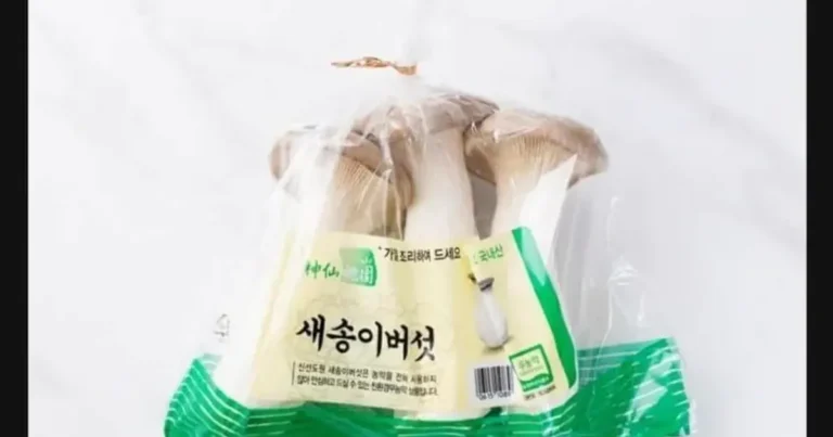 버섯 전문가가 알려주는 식용 버섯 특징