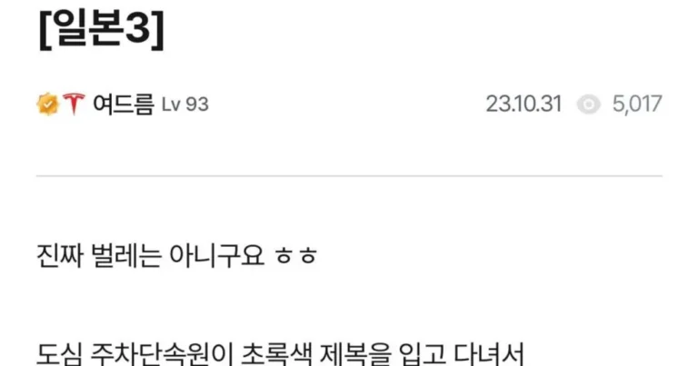 일본에 불법주차가 적은 이유