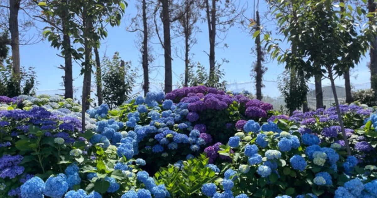 59c99614cc03a59715ddae537e6842898ca5a26b5fa3ff614a5efd2b3f7c7656