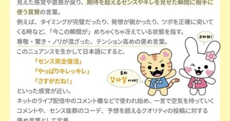 일본에서 한국 신조어 속보라고 뜬 신조어