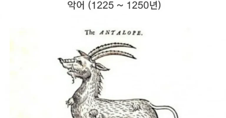 말만 듣고 상상력으로만 그린 그림.jpg